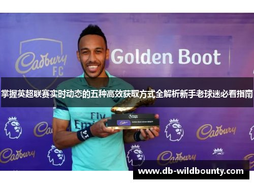 掌握英超联赛实时动态的五种高效获取方式全解析新手老球迷必看指南