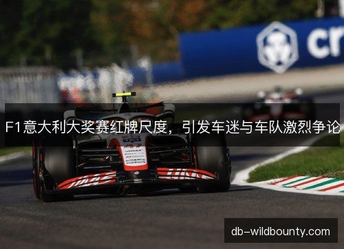 F1意大利大奖赛红牌尺度,引发车迷与车队激烈争论 F1意大利大奖赛红牌尺度,引发车迷与车队激烈争论