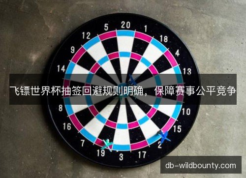 飞镖世界杯抽签回避规则明确，保障赛事公平竞争