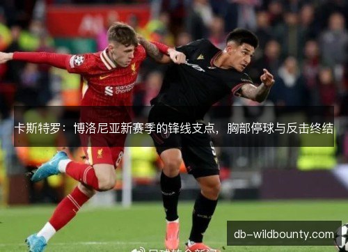 卡斯特罗：博洛尼亚新赛季的锋线支点，胸部停球与反击终结